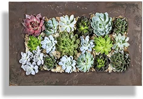 Vandue Modern Home Living Wall Galvanized Steel/Zinc Succulent Planter by Vandue