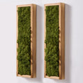 Mokof Preserved Moss Wall Art Decor, Moss Green, 2 Pack by Mokof