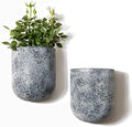 LA JOLIE MUSE Wall Planters for Indoor Plants, Hanging Flower Pots, 2 Pack by LaJol%C3%ADeMuse