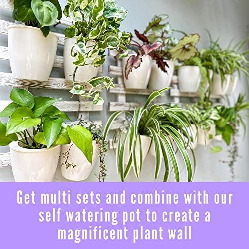 ShopLaLa Wooden Wall Hanging Planter - Image 5