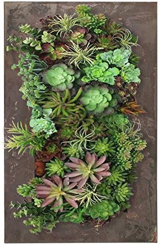 Modern Home Living Wall Galvanized Steel/Zinc Succulent Planter, Wall Mounted by Vandue