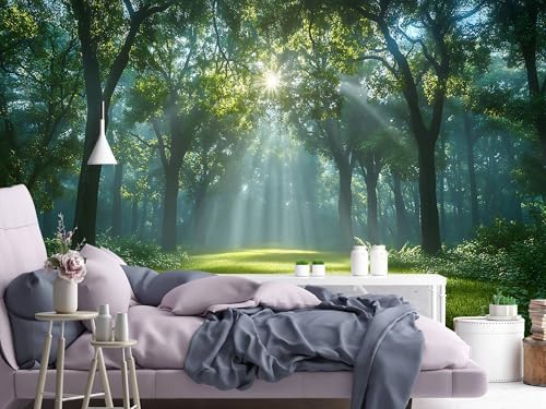 Mural of a Green Forest bathed in Sunlight self-adhesive-108 x157 - Image 3