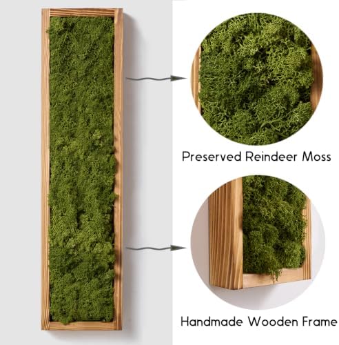 Mokof Preserved Moss Wall Art Decor, Moss Green, 2 Pack - Image 4