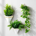 Rtteri 18 Pcs Wall Hanging Planter by Rtteri