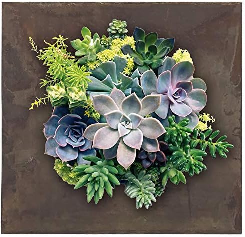 Modern Home Living Wall Galvanized Steel/Zinc Succulent Planter, Wall Mounted - Image 6