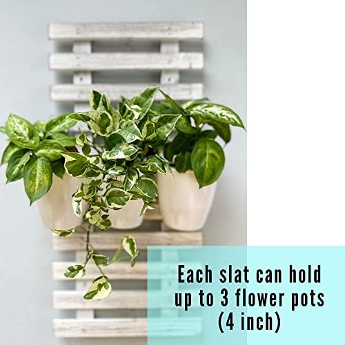 ShopLaLa Wooden Wall Planter - Image 4