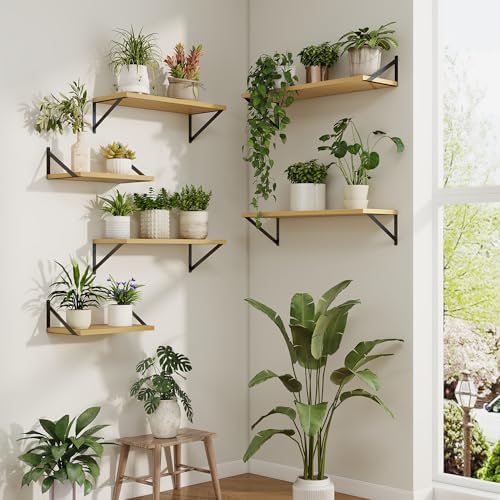 Axeman 20 Inch Floating Shelves, 10 Inch Deep Oak Wall Shelves Set of 2 - Image 7