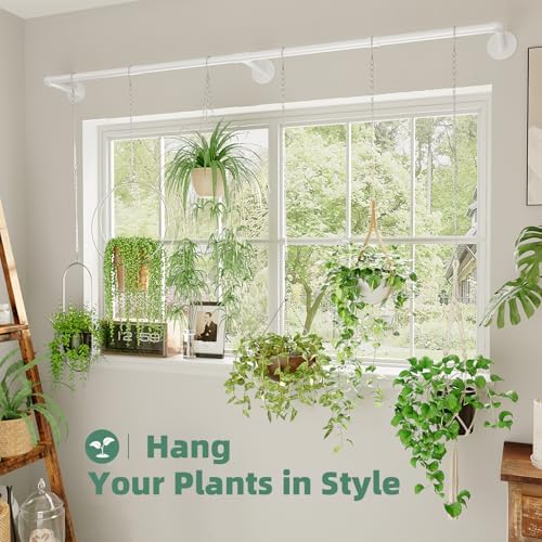 Galood Plant Hanger Indoor - Image 2