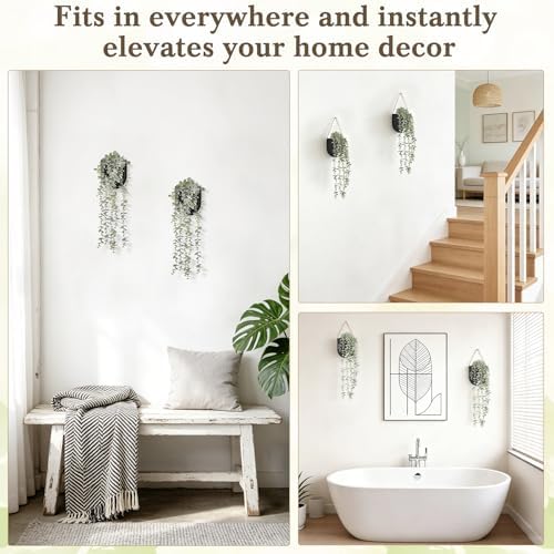 Dahey 2 Pack Wall Planter Vase - Image 7