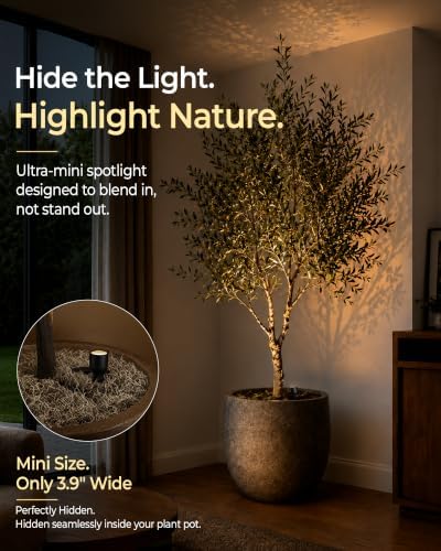 EZVALO 2-Pack Spotlight Indoor, Rechargeable Battery Picture Lights, Wireless - Image 5