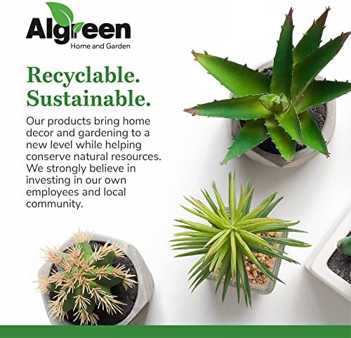 Algreen Wall Planter - Image 6