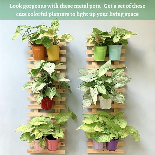 ShopLaLa Wall Planter Large Wooden Hanging Ladder Planters - Image 5