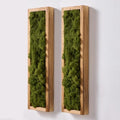 Mokof Preserved Moss Wall Art Decor, Moss Green, 2 Pack by Mokof