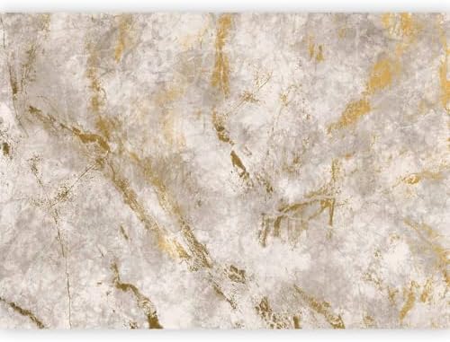 artgeist - Premium Wall Mural Wallpaper, Living Room Faux Cement 138x101 in by artgeist