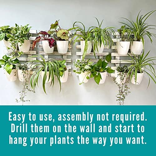 ShopLaLa Wooden Wall Planters - Image 5