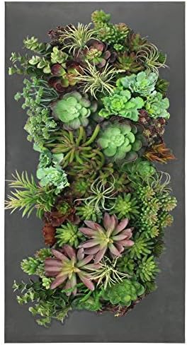 Modern Home Living Wall Galvanized Steel/Zinc Succulent Planter, Wall Mounted by Vandue