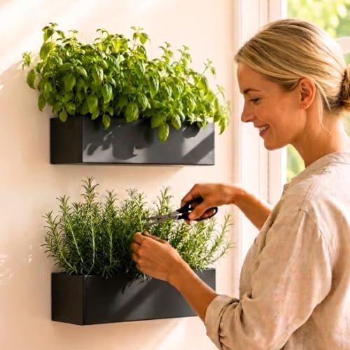 LaLaGreen Wall Planter Rectangular Metal Hanging Flower Pot by L%C3%A1L%C3%A1Green