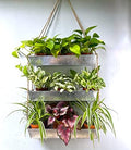 LaLaGreen Hanging Wall Planter Black Metal Succulent Herb by L%C3%A1L%C3%A1Green