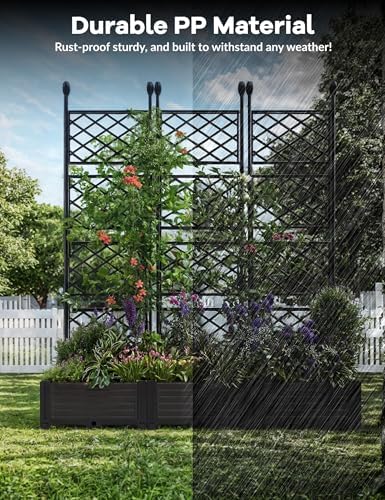 3 PCS Raised Garden Bed with Trellis & Privacy Screen, Outdoor Trellis - Image 5