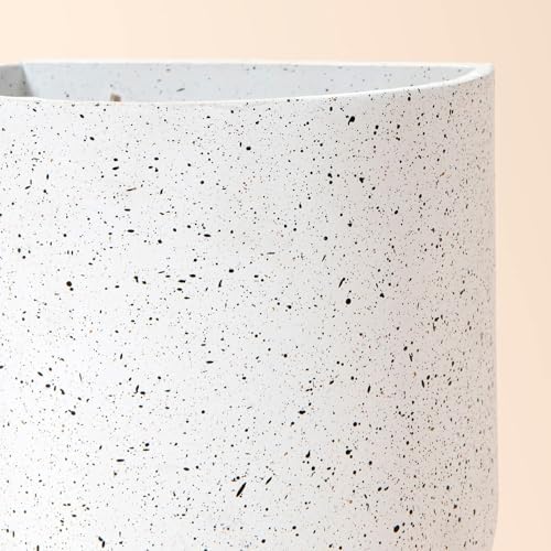 LA Jolie Muse Wall Planters for Indoor Plants, Hanging Flower Pots, 2 Pack - Image 5