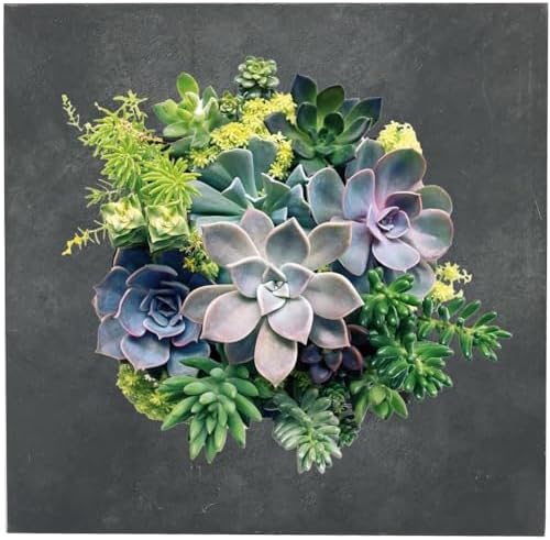 Modern Home Living Wall Galvanized Steel/Zinc Succulent Planter, Wall Mounted - Image 6