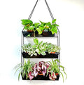 LaLaGreen 16 Inch Wall Mounted Tiered Planter by L%C3%A1L%C3%A1Green