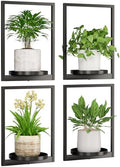 Hanging Planters for Indoor Plants by Qiaogreen