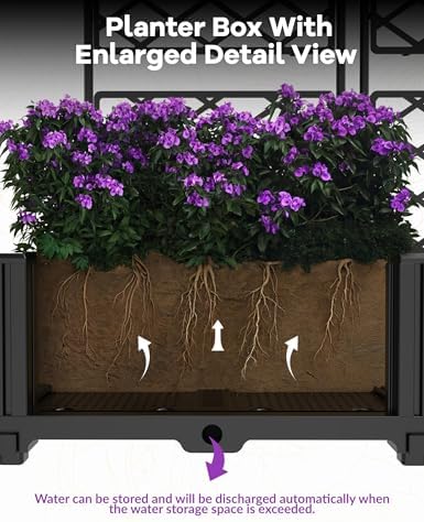 3 PCS Raised Garden Bed with Trellis & Privacy Screen, Outdoor Trellis - Image 2