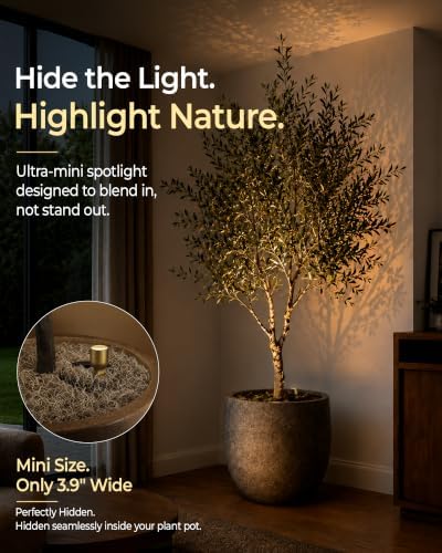 EZVALO 4-Pack Spotlight Indoor, Rechargeable Battery Picture Lights, Wireless - Image 5