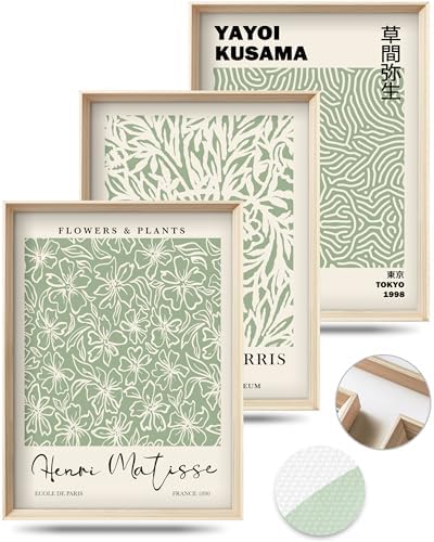 HesenDot Framed Wall Art Set of 3, Sage Green Botanical Wall Decor by HesenDot