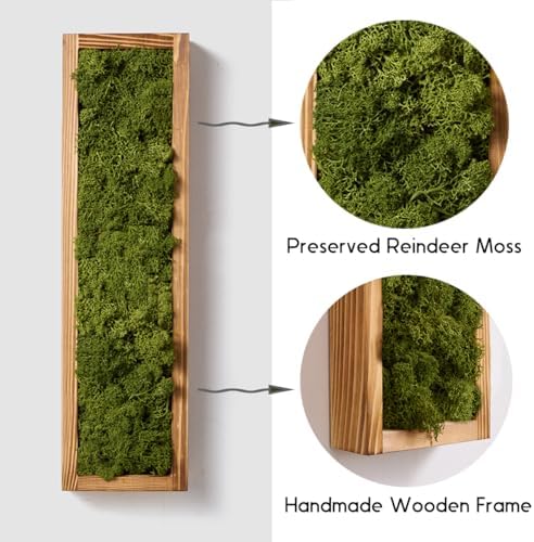 Mokof Preserved Moss Wall Art Decor, Moss Green, 2 Pack - Image 4