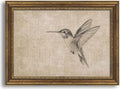 Gold Framed 3D Textured Wall Art, Vintage Sketch Hummingbird Canvas Prints by Jesicatmin