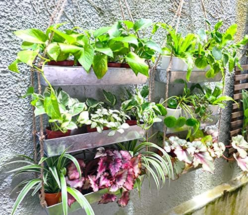 LaLaGreen Hanging Wall Planter Black Metal Succulent Herb - Image 5