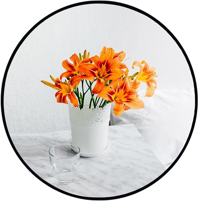 Oruii Black Circle Mirror, 18 inch Round Mirror Metal Frame, Living Room by OruiiMirror