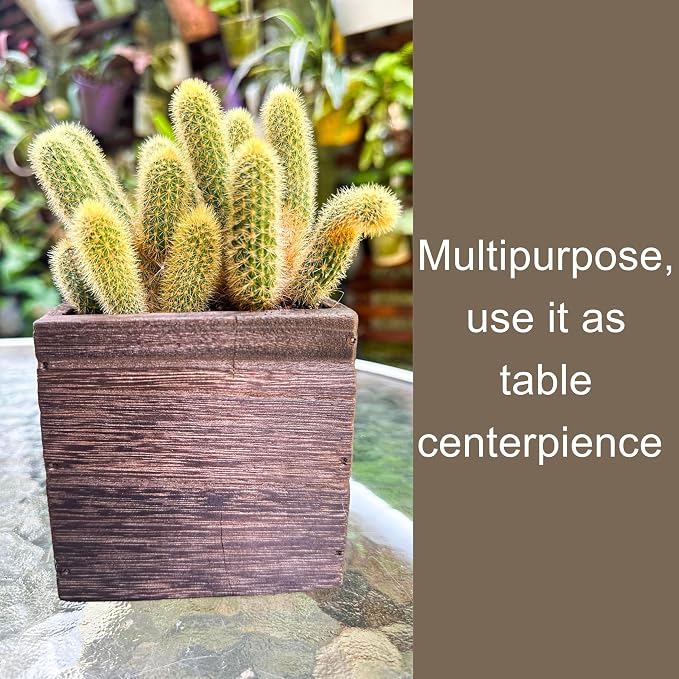 LaLaGreen Indoor Planter Box for Plants Small Square Wooden Wall Mounted - Image 6